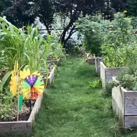 Davidson Avenue Community Gardeners Group ico