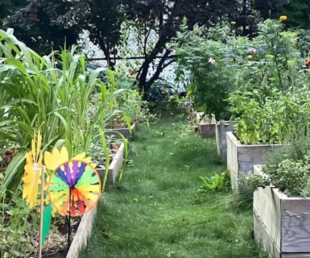 Davidson Avenue Community Gardeners Group