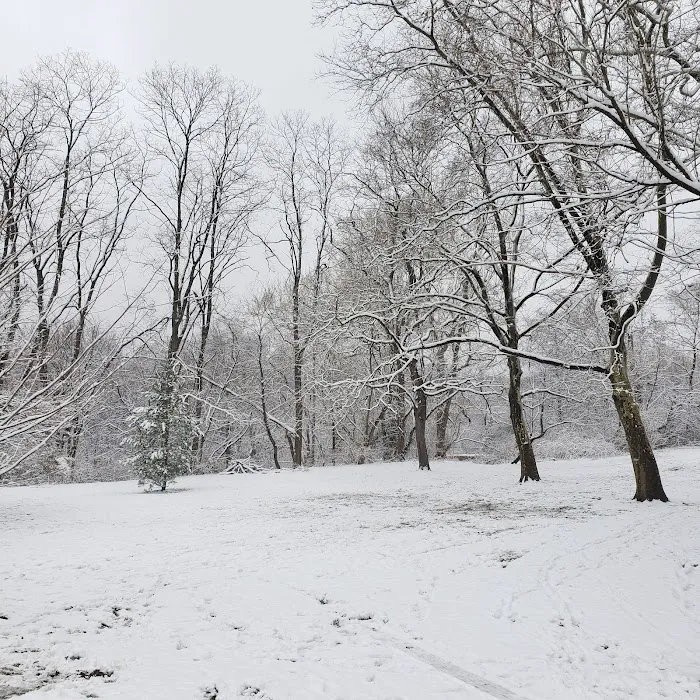 Ewen Park Picture 8