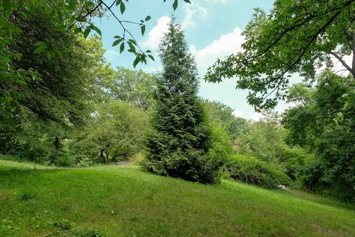 Ewen Park Picture 1