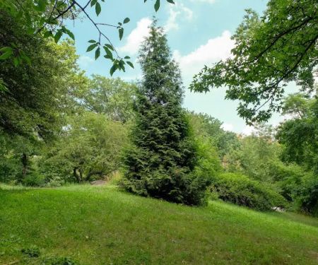 Ewen Park