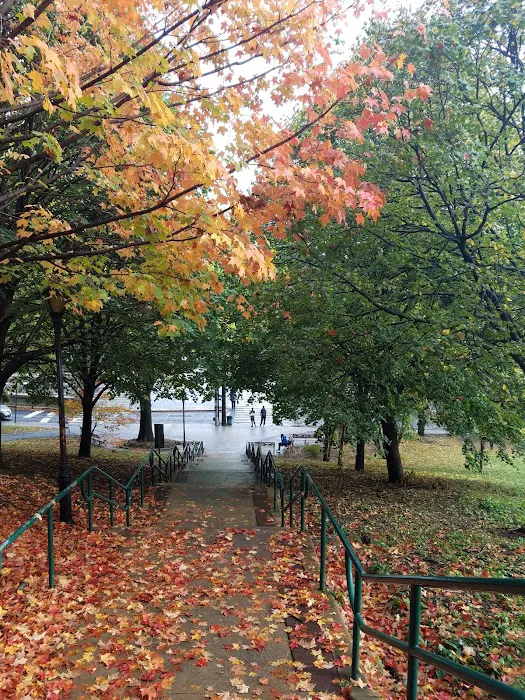 Ewen Park Picture 9