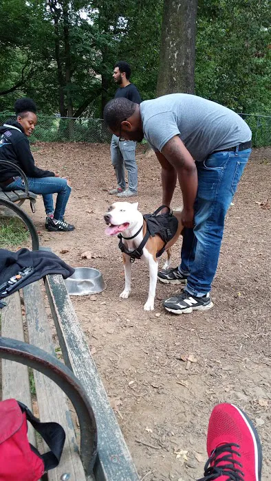 Ewen Park Dog Run Picture 3