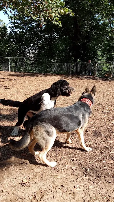 Ewen Park Dog Run Picture 1