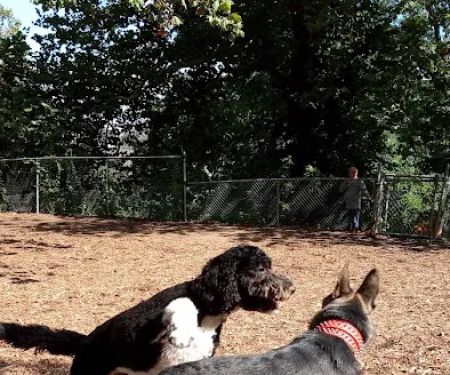 Ewen Park Dog Run