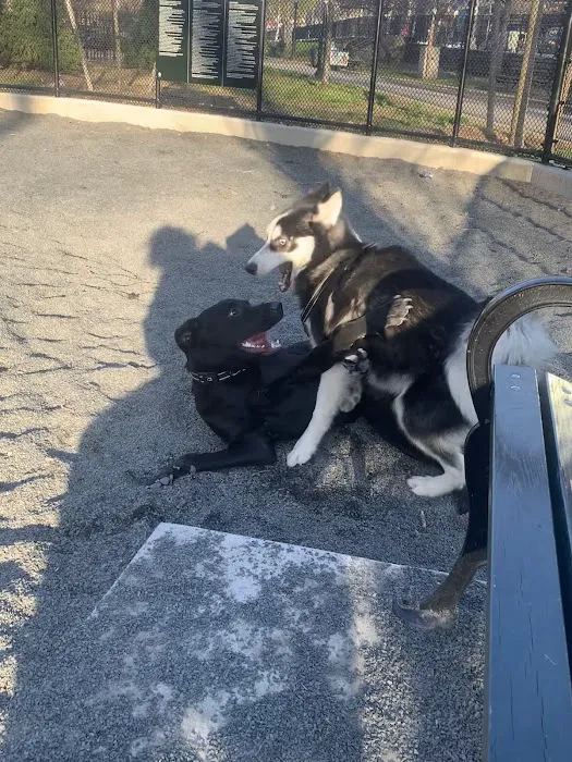 Devoe Park Dog Run Picture 2