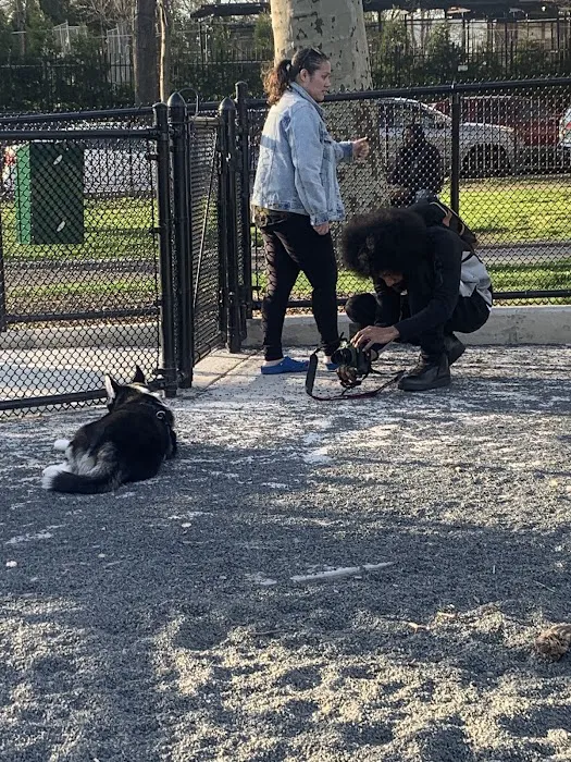 Devoe Park Dog Run Picture 3