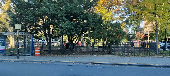 Devoe Park Dog Run Picture 6