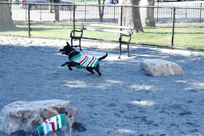 Devoe Park Dog Run Picture 10
