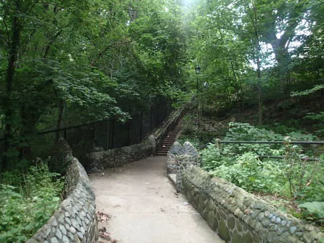 University Woods Picture 7