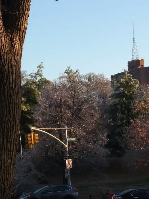 Bryan Park Picture 9