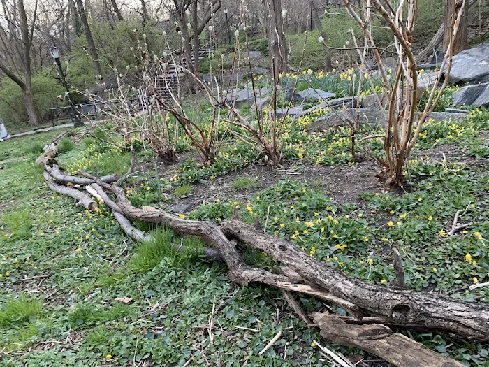 Stewards of Ewen Park Picture 1