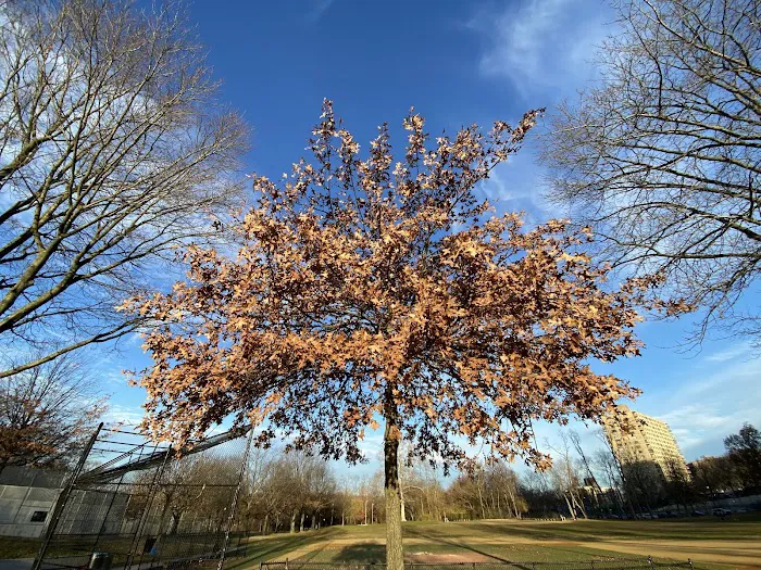 Seton Park Picture 2