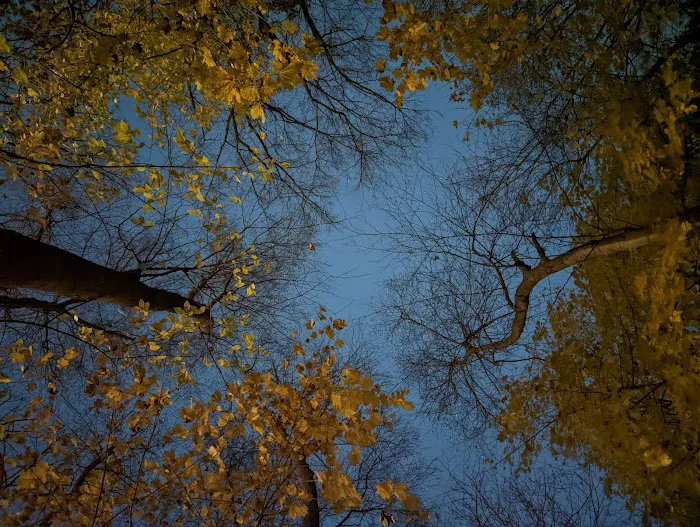 Seton Park Picture 8
