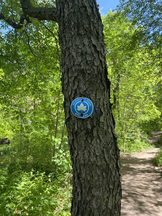 Riverdale Park Picture 3
