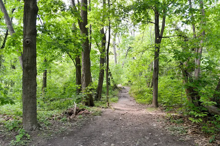 Riverdale Park Picture 10