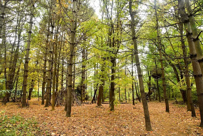 Riverdale Park Picture 1
