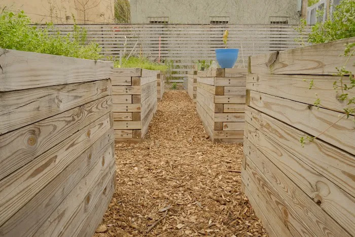 Bathgate Community Garden Picture 4