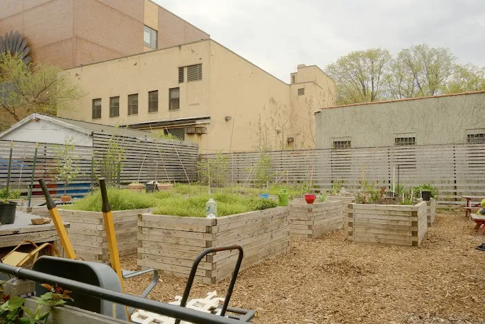 Bathgate Community Garden Picture 8