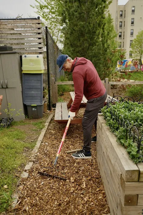 Bathgate Community Garden Picture 6