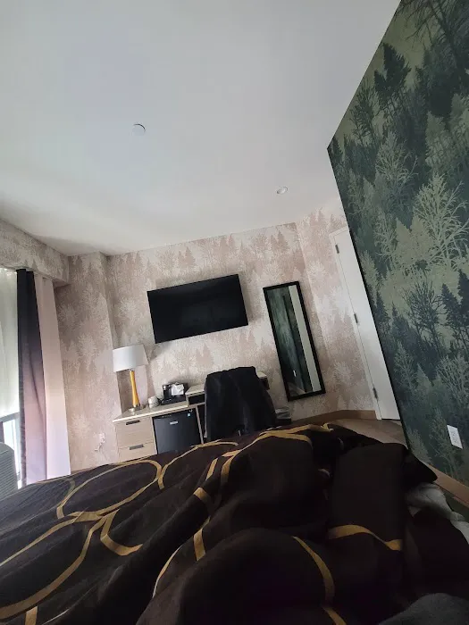 Super 8 by Wyndham Bronx Near Botanical Garden Picture 1