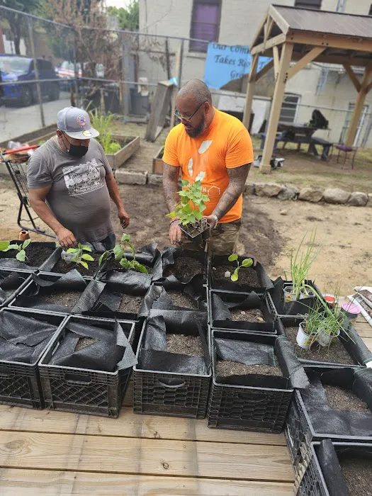 Concrete Dreams Community Garden Picture 3
