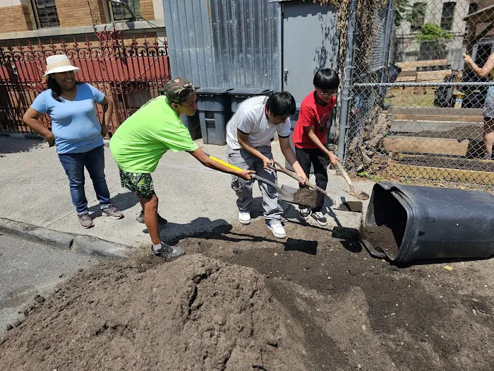 Concrete Dreams Community Garden Picture 10