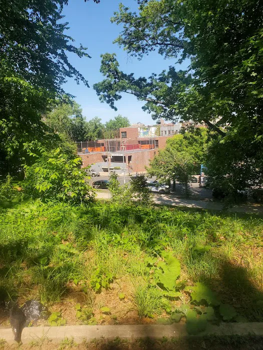 Claremont Park Picture 6