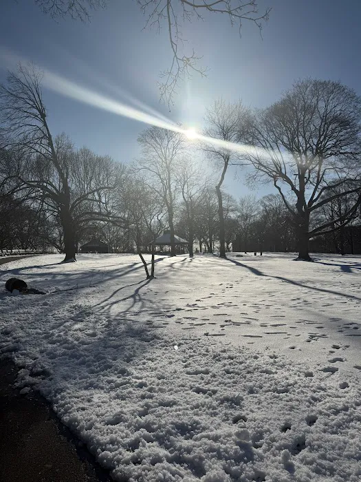 Claremont Park Picture 10