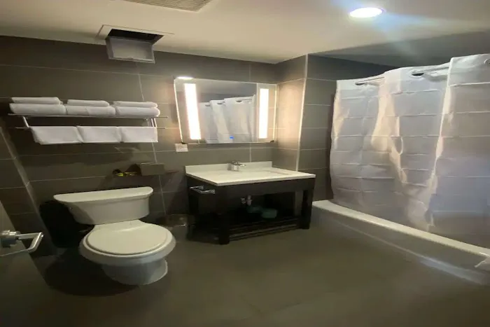 Best Western Plus City Line Hotel Picture 7