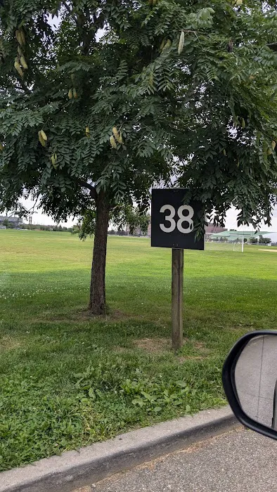 Randall’s Island Field #38 Picture 1