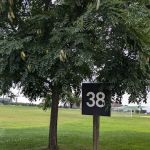 Randall’s Island Field #38