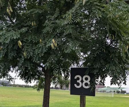 Randall’s Island Field #38