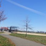 Randall’s Island Field #13