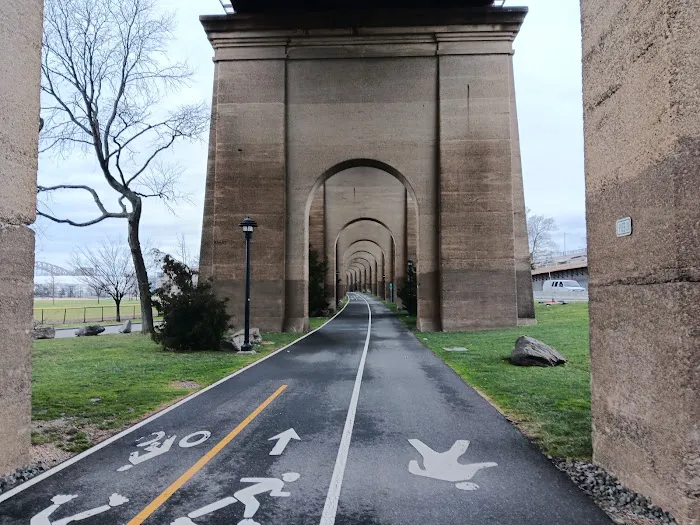 Randall's Island Field #43 Picture 6