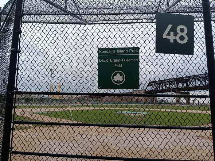 Randall's Island Field #43 Picture 1