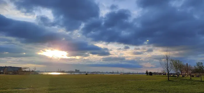 Randall's Island Field #43 Picture 2