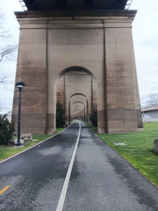 Randall's Island Field #43 Picture 10
