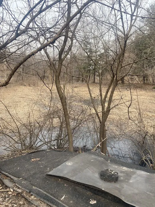 Freshwater Meadow Picture 5
