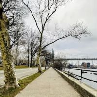 Shore Boulevard ico
