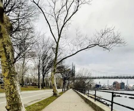 Shore Boulevard