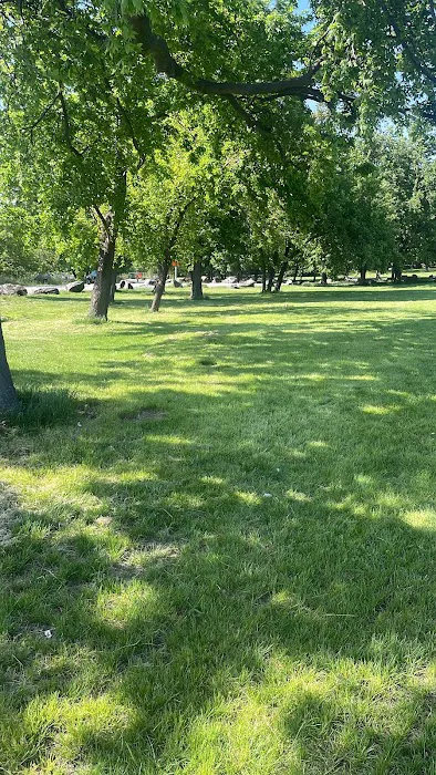 Harlem River Event Area Picture 5