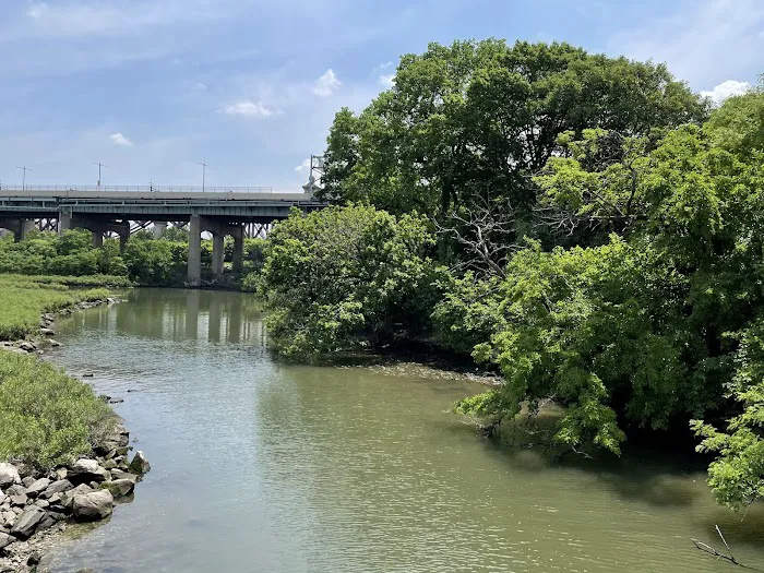 Little Hell Gate Salt Marsh Picture 10