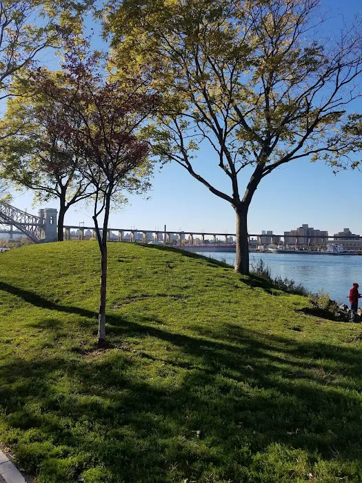 Ralph Demarco Park Picture 3