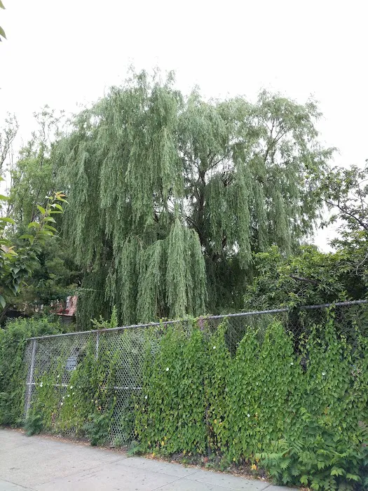Brook Park Picture 6