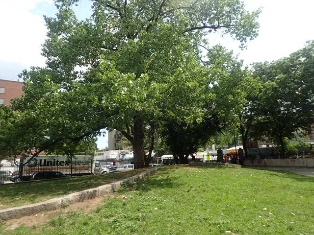 Reverend Lena Irons Unity Park Picture 5