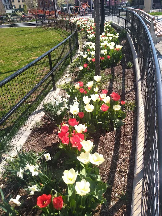 Yolanda García Park Picture 9