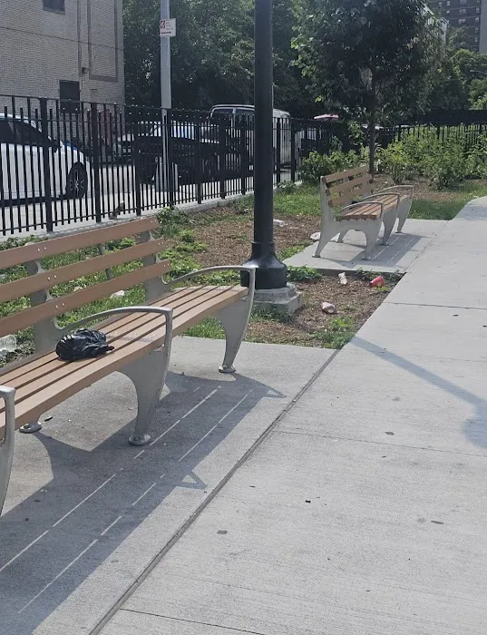 Melrose Commons Park Picture 2