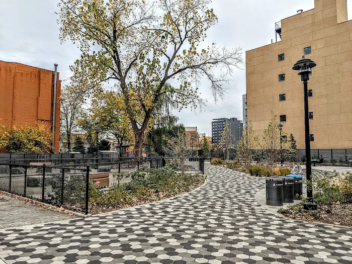 Melrose Commons Park Picture 4