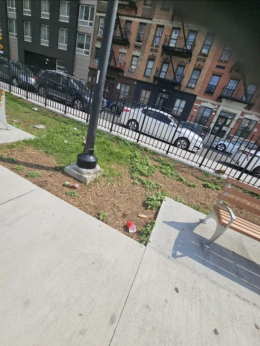 Melrose Commons Park Picture 1
